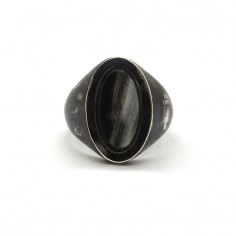 Man signet ring - Steinn