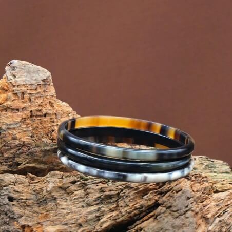 Photo mood sur une branche de bois de 3 joncs en corne claire 5 mm.