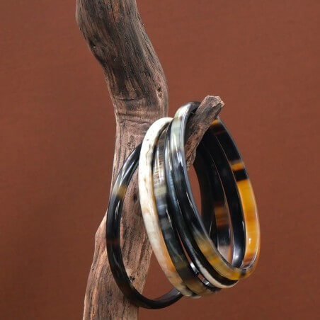 Photo mood sur une branche de bois de 5 joncs en foncée claire 5 mm.