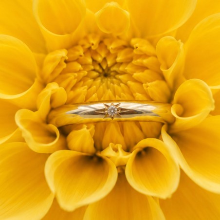 Photo sur fond blanc de l’alliance saphir jaune modèle Maïa dans une fleur.